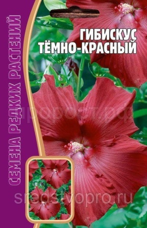 Гибискус Темно-Красный 5 шт