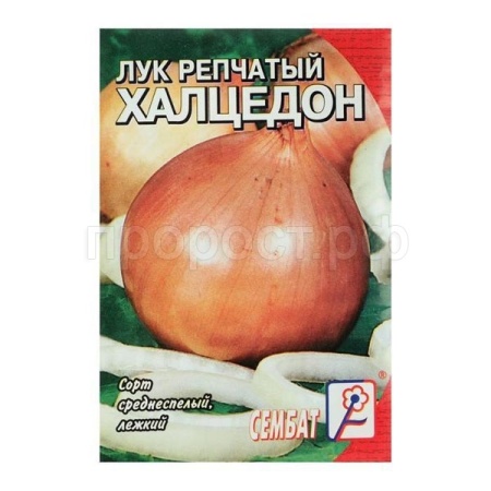 Лук репчатый Халцедон 3г XXXL 