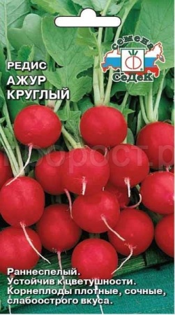 Седек Редис Ажур 2г