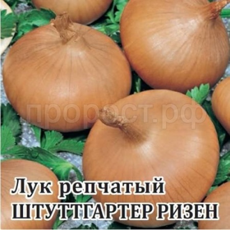 Лук репчатый Штуттгартер Ризен 25 г