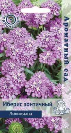 Иберис зонтичный Лилициана 0,3г