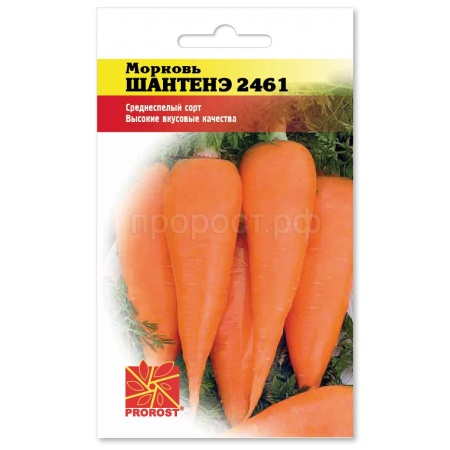 PROROST Морковь Шантенэ 2461 2г 