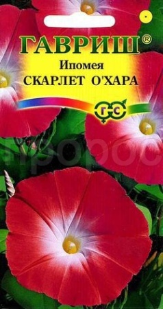 Ипомея Скарлет О Хара 0,5г 