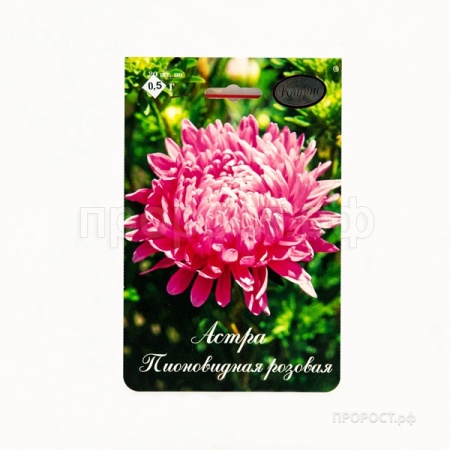 Астра Пионовидная Даная розовая 20*1 