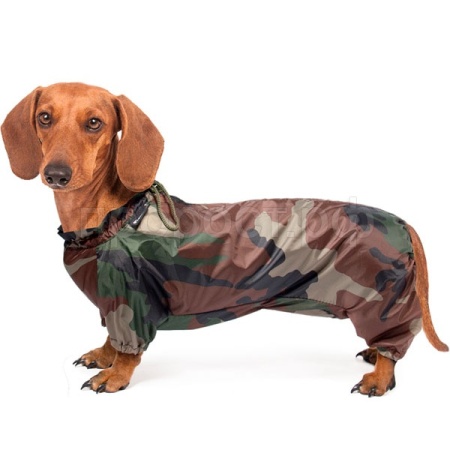 Комбинезон зимний Такса 41см M/12212018/Триол Комбинезон зимний Такса 41см M/12212018/Триол