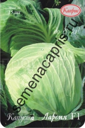 Каприс Капуста белокочанная Ларсия F1 20*15шт