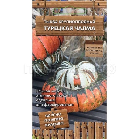 Тыква крупноплодная Турецкая чалма 5шт