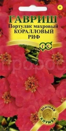 Портулак Коралловый риф 0,01г