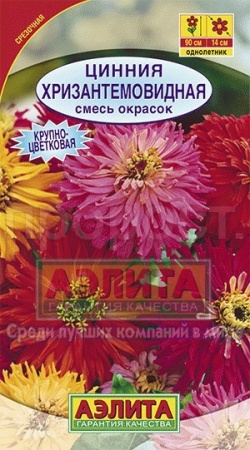 Цинния Хризантемовидная смесь