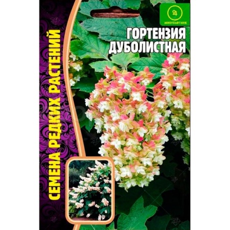 Редкие растения Гортензия Дуболистная 20 шт 