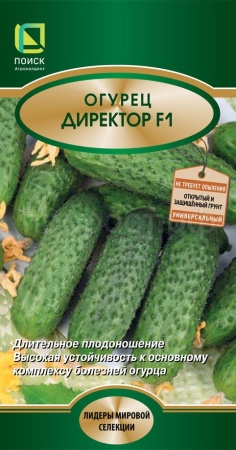 Поиск Огурец Директор F1 5шт