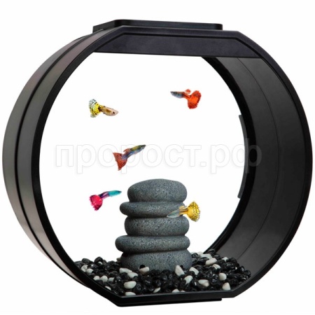 Аквариум Deco O UPG 20л 395*207*375мм черный/AA-Aquariums/73516010