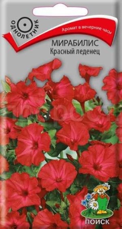 Мирабилис Красный леденец 1г