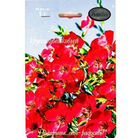 Лен Красный Пламя 20*1