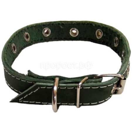 Ошейник кожа зелёный 1сл 25мм DONBARON Ошейник кожа зелёный 1сл 25мм DONBARON