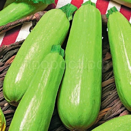 Гавриш Фермерская Кабачок Барчук F1 25 гр 