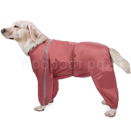 Комбинезон зимний Лабрадор 58см/12212010/Триол Комбинезон зимний Лабрадор 58см/12212010/Триол