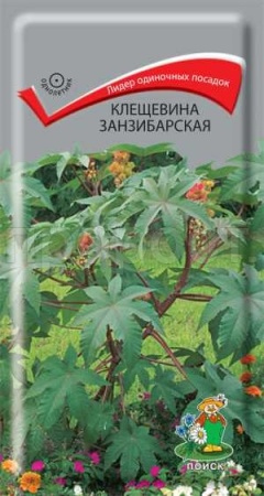 Клещевина занзибарская 3г