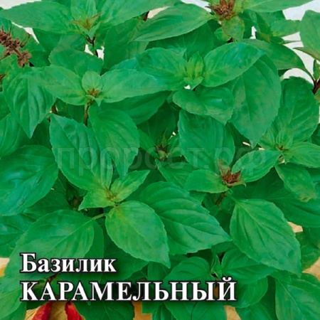 Гавриш Фермерская Базилик Карамельный 50 гр