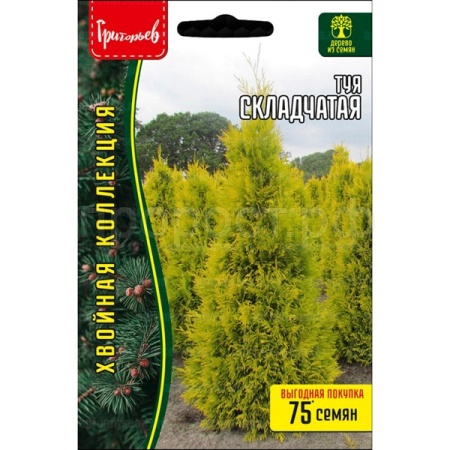 Редкие растения Туя Складчатая 0,1 г 