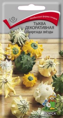 Тыква декоративная Шахрезада звёзды 5шт