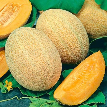 Седек Дыня Сладострастница F1 0,2г