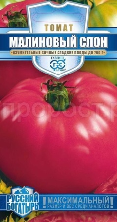 Гавриш Томат Малиновый слон 0,05г